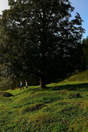 Premiumweg Klausenbachklamm