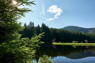 Kleiner Arbersee