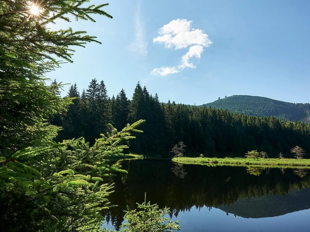 Kleiner Arbersee
