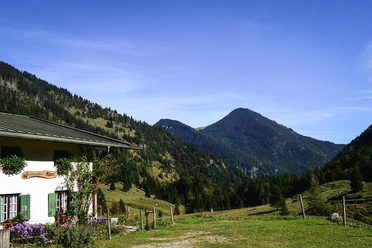 Niederhofer Alm