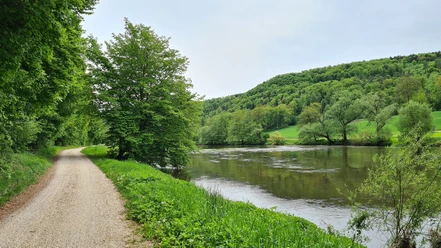 Am Naabtal-Radweg bei Duggendorf