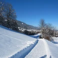 Winterwanderweg Herrenberg