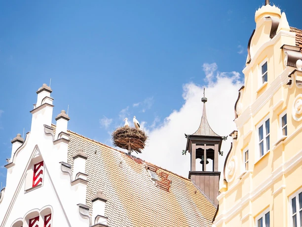 Storchennest auf historischen Rathaus