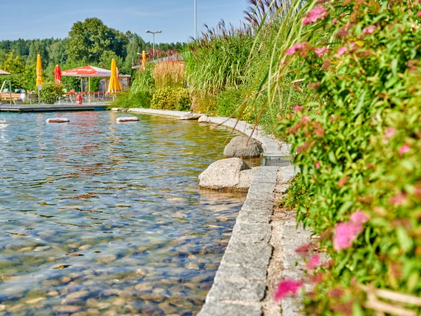 Naturfreibad Fischach, Genießem, Schwimmen_Fischach_© Florian Trykowski, CC-BY (3).jpg