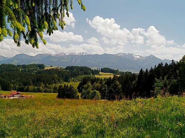 Blick auf die Sonnenköpfe