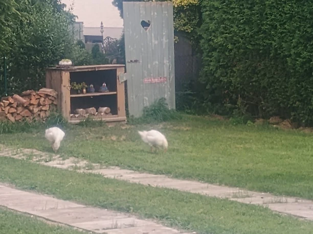 Wohnmobilstellplatz Schießen