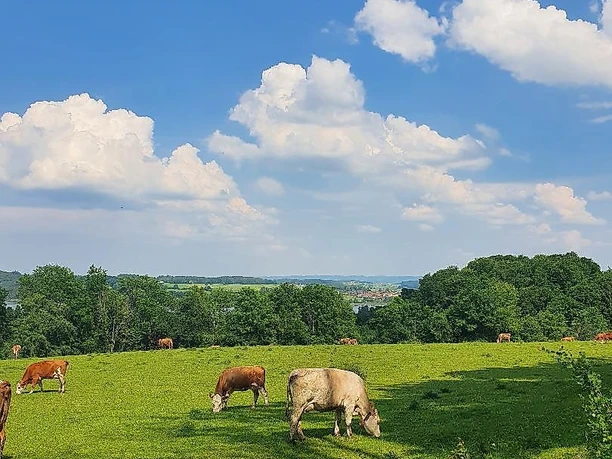 Schmankerlstadl Moierhof