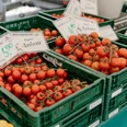 Tomaten vom Bauernmarkt