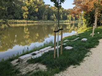 Bootsanlegestelle oberhalb der Donaubrücke (3)