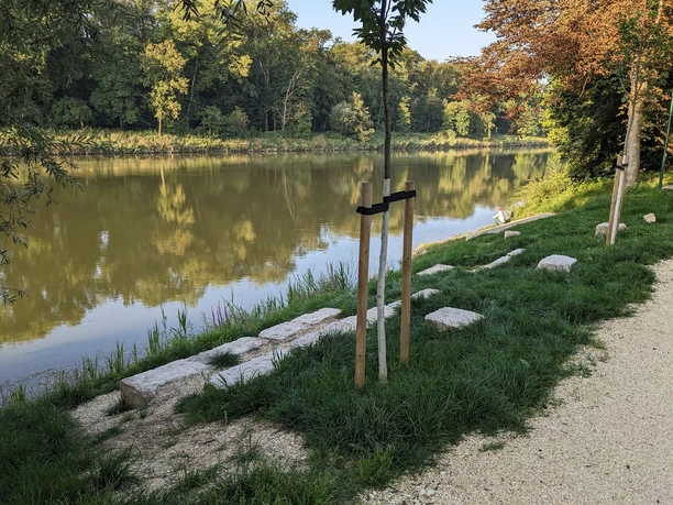 Bootsanlegestelle oberhalb der Donaubrücke (3)