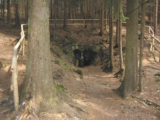Schmutzlerzeche