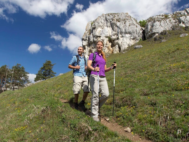 Schwarze Laber Schlaufe bei Eilsbrunn
