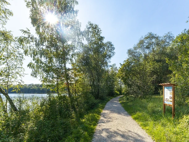 Naturlehrpfad am Auwaldsee Lauingen Naturlehrpfad am Auwaldsee Lauingen