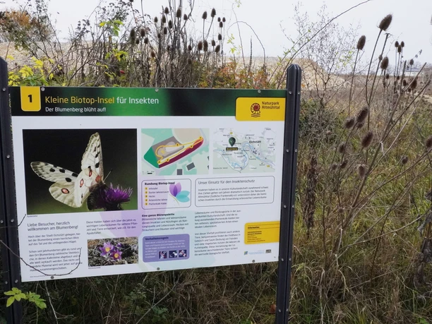 Eichstätt Lehrpfad Blumenberg Infotafel