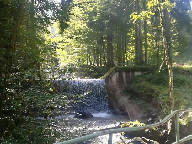 Entlang des Tobelweges