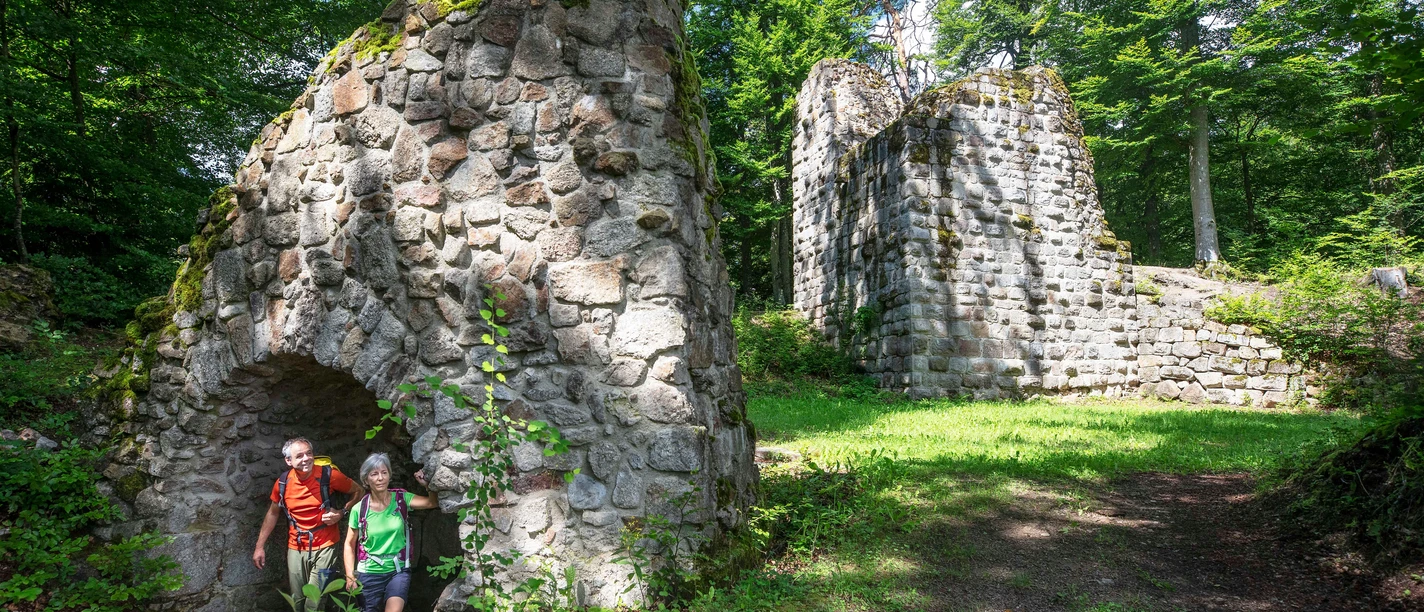 Die Burgruine Heilsberg liegt eingebettet in die Natur mitten in einem Waldstück und ist eine schöne Kulisse für Entdeckungstouren.