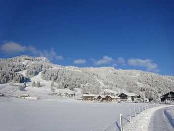 Verschneiter Ortseingang Bolsterlang