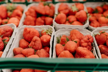Erdbeeren