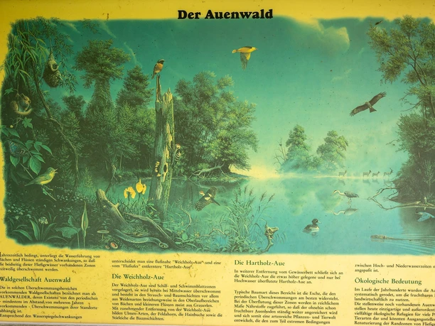 Auenlehrpfad Tittmoning