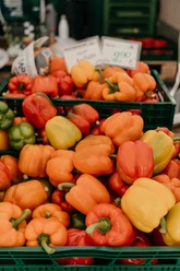 Paprika