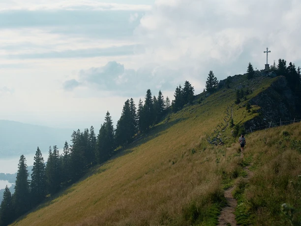 Bodenschneid Gipfel