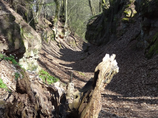 Blick in die Lohrer Klapper
