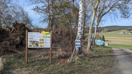 Lehrpfad Nistlberg8.jpg