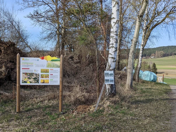 Lehrpfad Nistlberg8.jpg