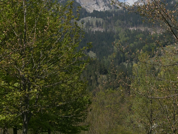 Wendelstein von Bayrischzell