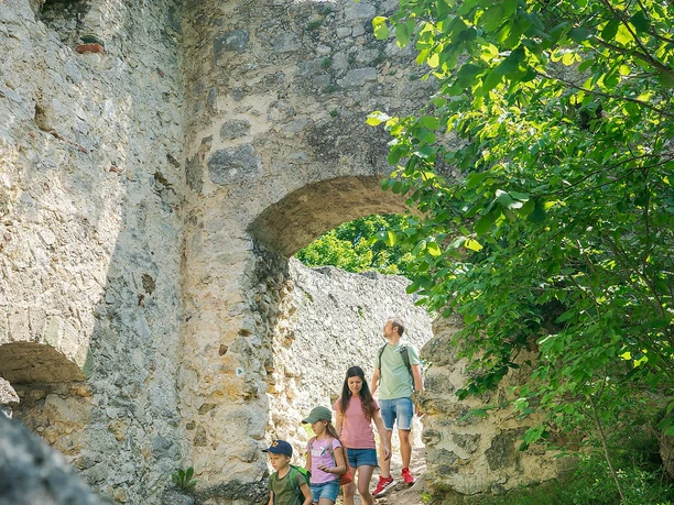 Burgruine Niederhaus