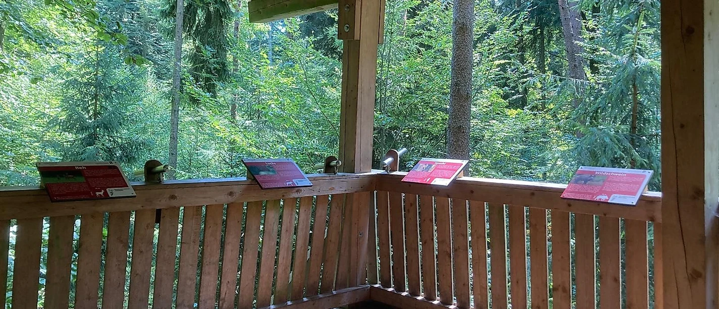 Kanzel oben Andrea_Bonauer.jpg