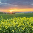 Ein Sonnenuntergang wie aus dem Märchenbuch in der malerischen Landschaft des Grabfeldes
