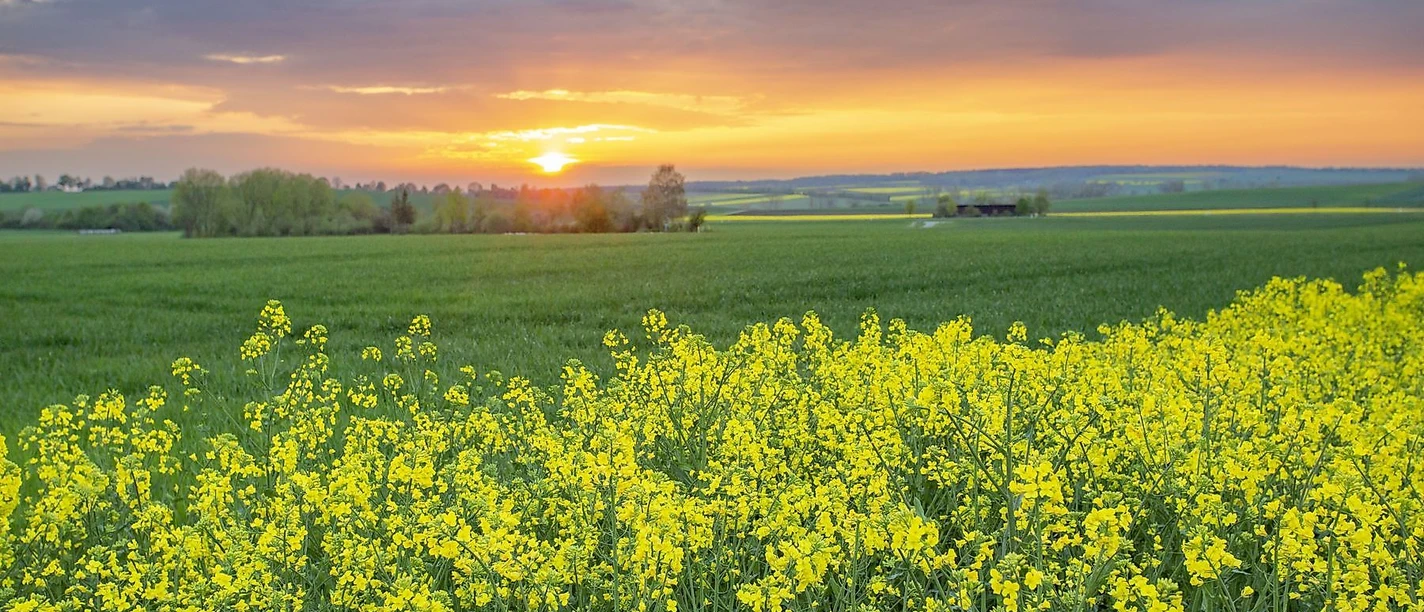 Ein Sonnenuntergang wie aus dem Märchenbuch in der malerischen Landschaft des Grabfeldes