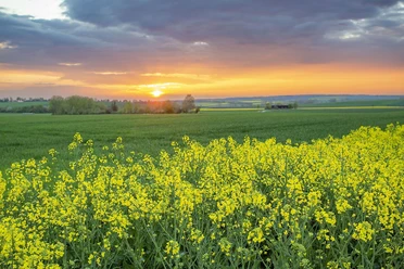 Ein Sonnenuntergang wie aus dem Märchenbuch in der malerischen Landschaft des Grabfeldes
