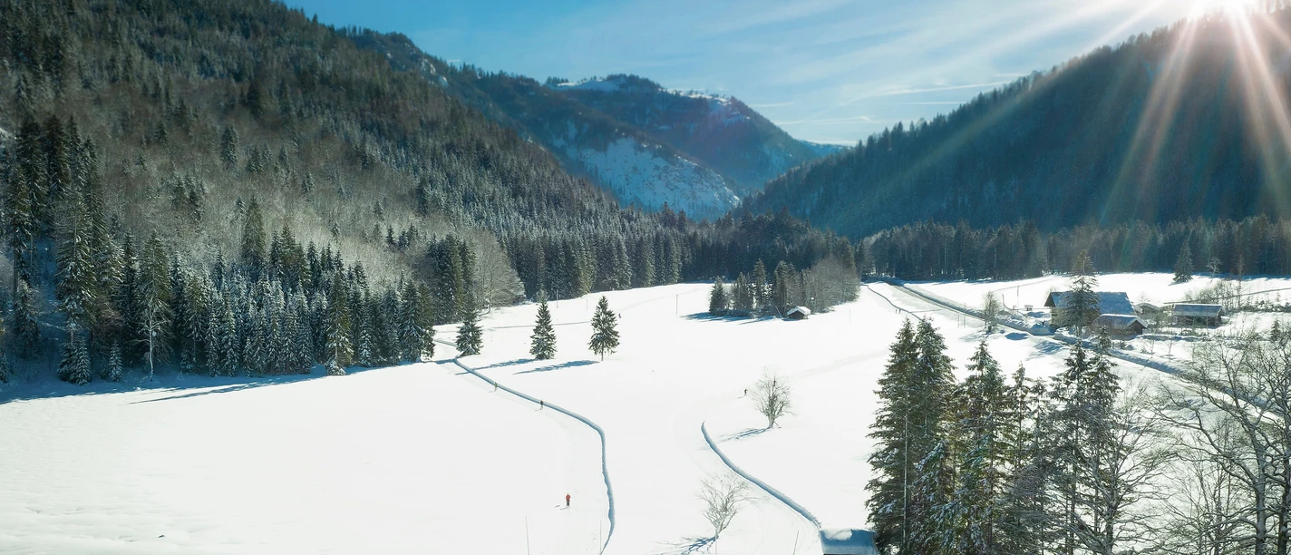 Stocker und Zipflwirt