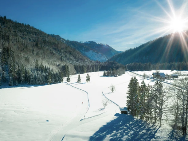 Stocker und Zipflwirt