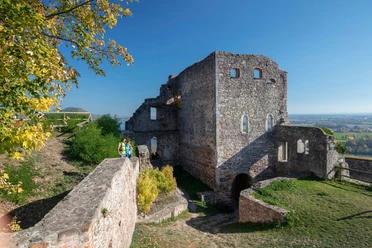 Burgruine Donaustauf