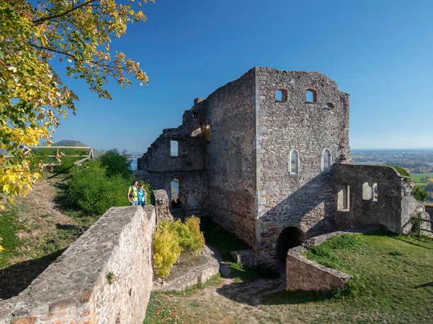 Burgruine Donaustauf