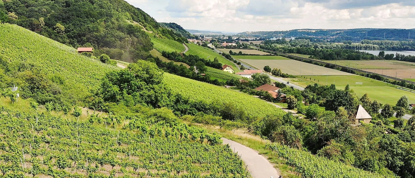Durch die Weinberge des Abt-Degen-Weintals radeln