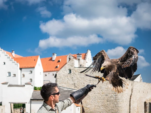 Flugvorführungen auf Schloss Rosenburg