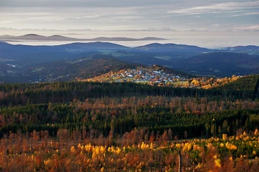 Blick auf Finsterau