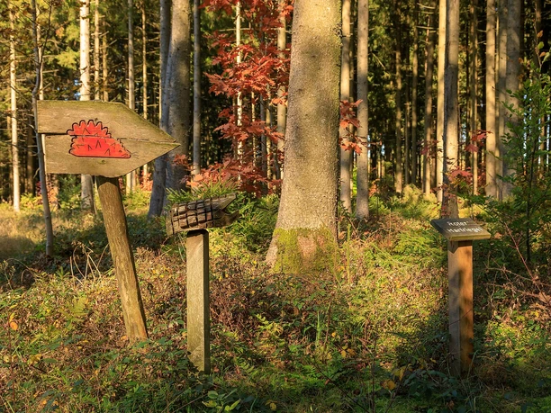 Tittmoning, Walderlebnispfad Meggenthal