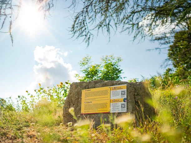 Geotop Klosterberg in Maihingen, Infotafel Suevit Gestein