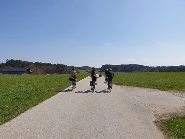 Radlweg
