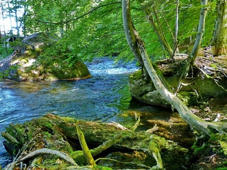 Flusswanderweg