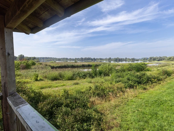 Beobachtungsturm am Schurrsee im Gundelfinger Moos