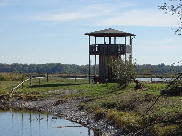 Aussichtsturm Mooswaldseen