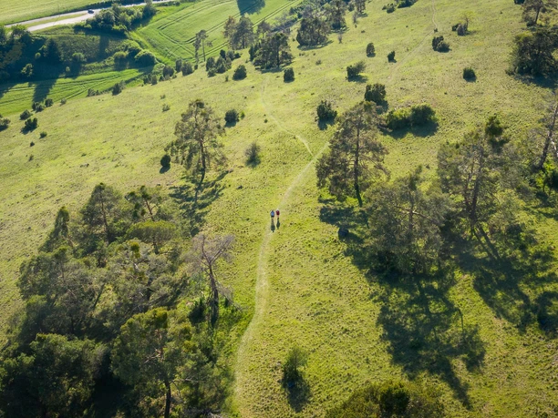 Wanderer auf der Gungoldinger Wacholderheide