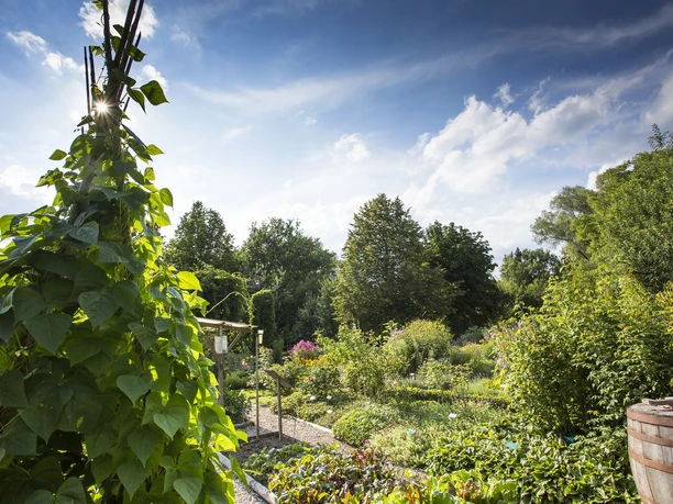 #Fouad-Vollmer_Weißenhorn_Kreismustergarten Gemüsegarten_CC-BY-SA.jpg