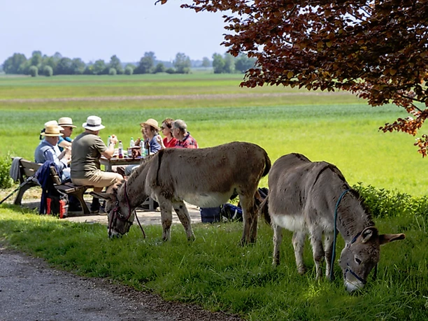 Eselwandern mit Hans und Josef